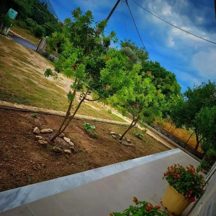 פארגה Calma Studios מראה חיצוני תמונה